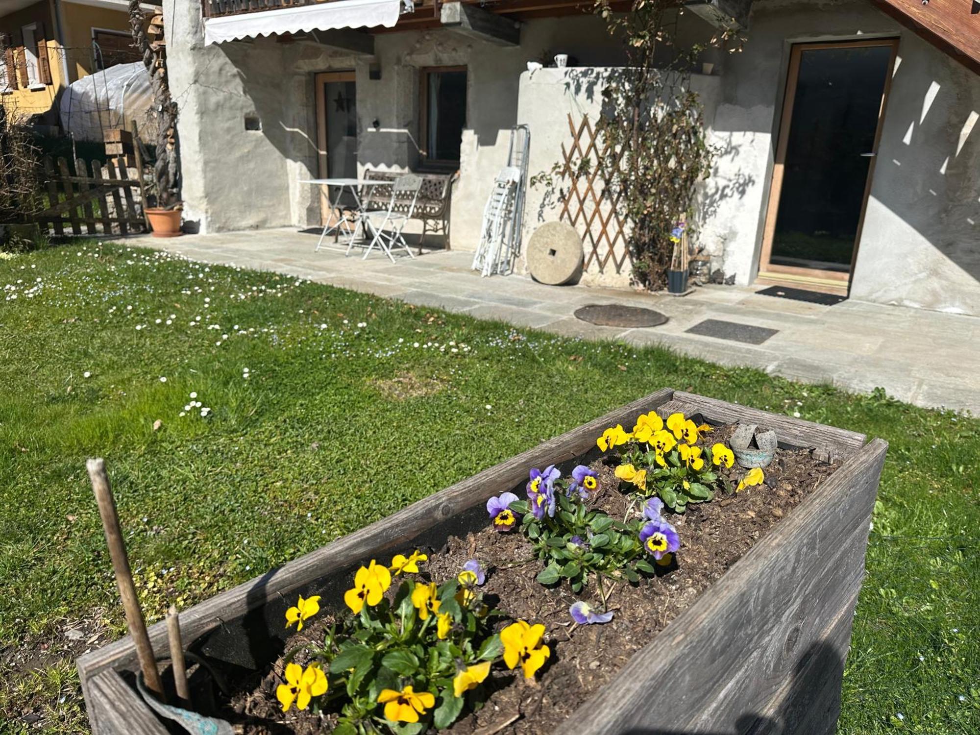Dans Hameau, Pres Des Pistes Logement De Plein Pied Au Calme Taninges Eksteriør bilde